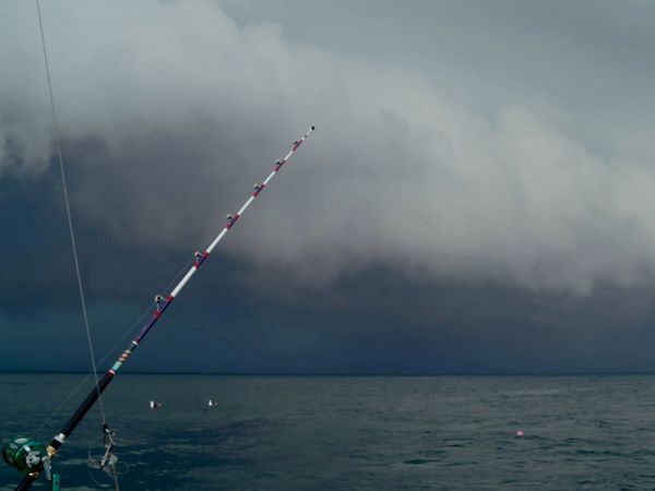 Wicked Tuna - Tempesta in arrivo