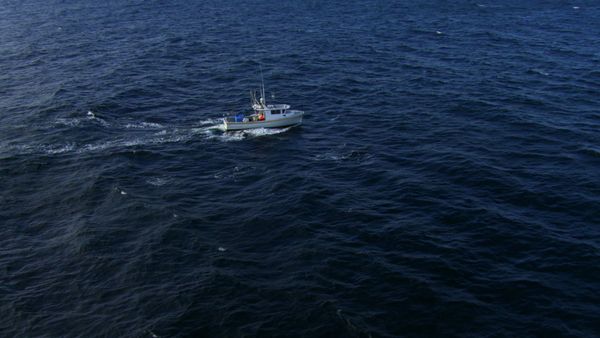 Wicked Tuna - Prove e difficoltà