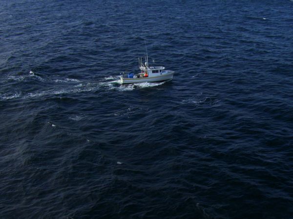 Wicked Tuna - Prove e difficoltà
