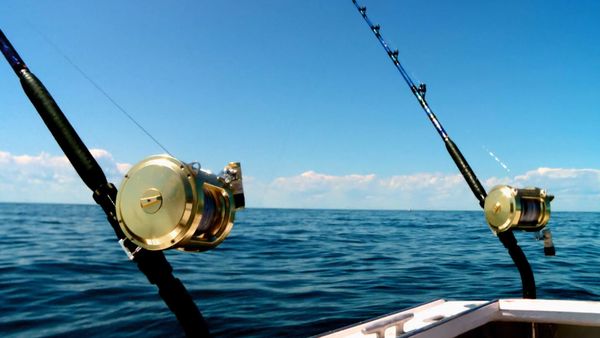 Wicked Tuna - Ora è il momento