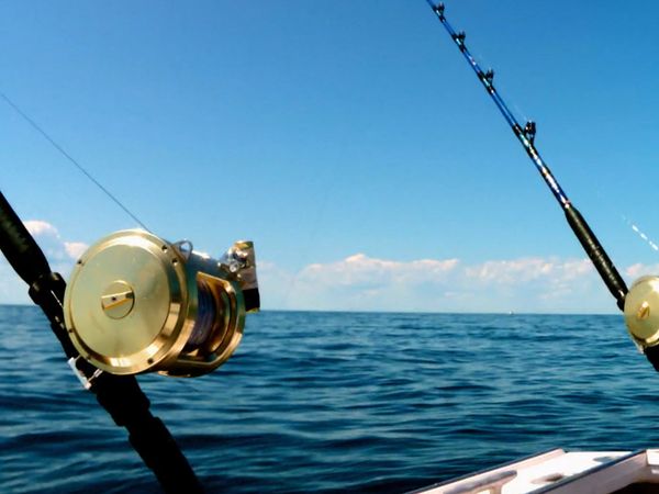 Wicked Tuna - Ora è il momento