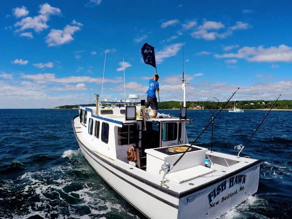 Wicked Tuna - Il primo pesce è il più difficile