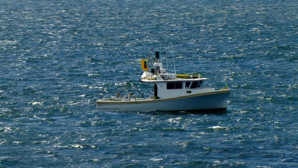 Wicked Tuna - Tic toc tac