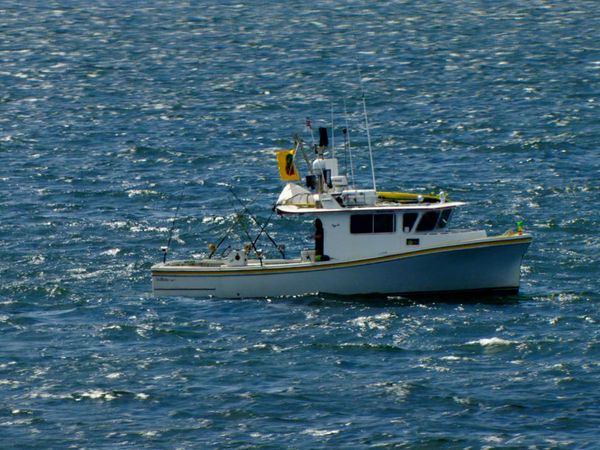 Wicked Tuna - Tic toc tac