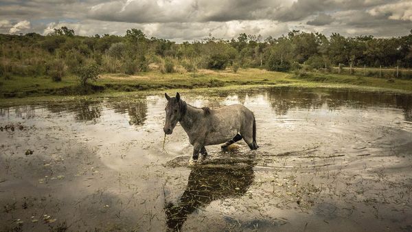 Horizons - Uruguay, le pays de la simplicité