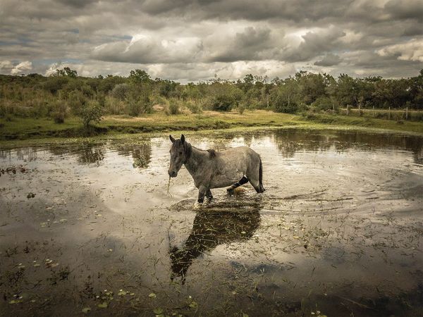 Horizons - Uruguay, le pays de la simplicité