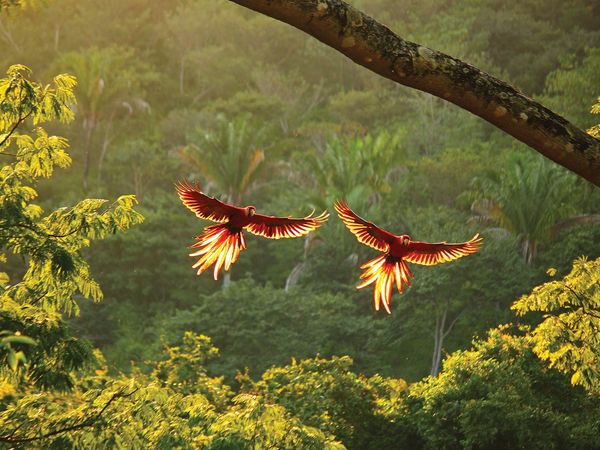 Horizons - Costa Rica, l'harmonie des sens