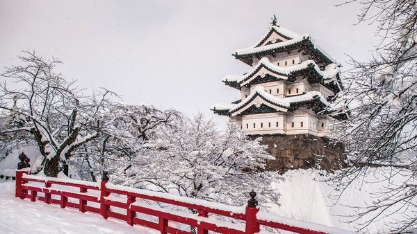 Horizons - Tohoku, le Japon sauvage