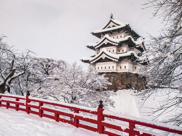 Horizons - Tohoku, le Japon sauvage