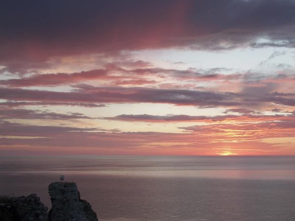 Epicerie Fine - La côte d'Albatre