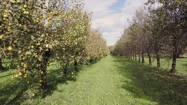 Epicerie Fine - Le Pays de Redon