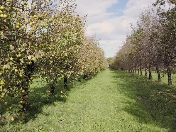 Epicerie Fine - Le Pays de Redon
