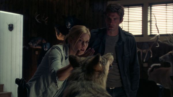 Haven - Fur