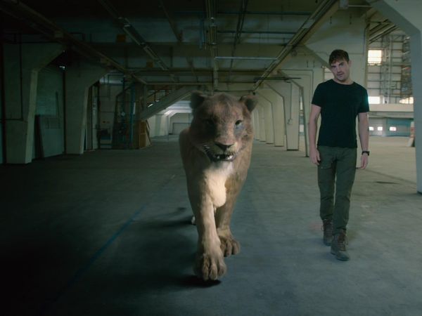 Gigantes - Leones