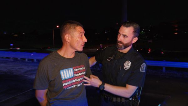 COPS - Stolen Cars and Movie Stars