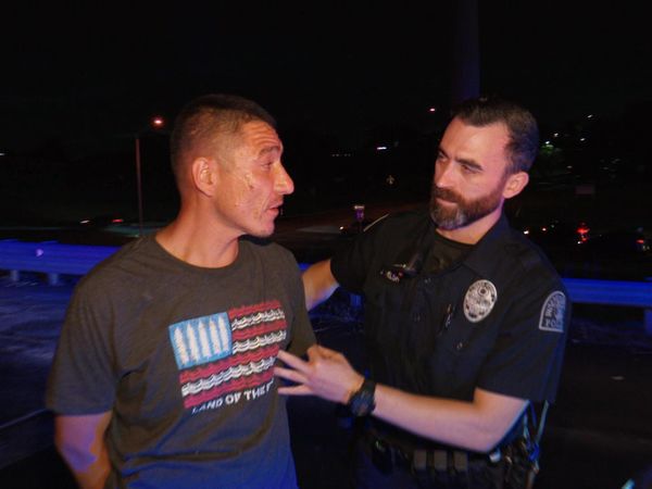 COPS - Stolen Cars and Movie Stars