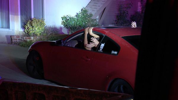COPS - Bagged Lady