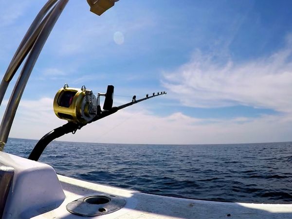 Wicked Tuna - La fine è vicina