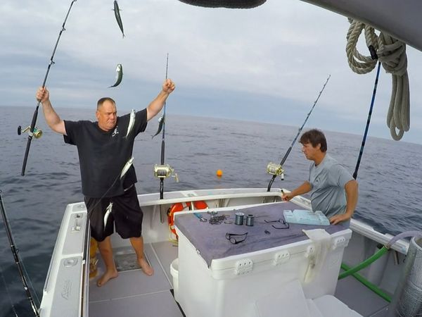 Wicked Tuna - Questione di ego
