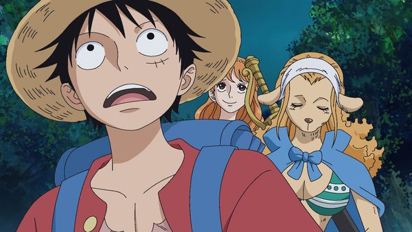 One Piece - Let's Go and Meet Master Cat Viper!