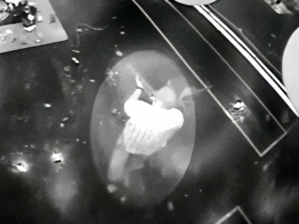 PD True - Hereos of the Pulse Nightclub Massacre Pt 1