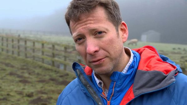 The Yorkshire Vet Casebook - Episode 8
