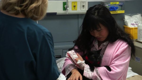 Untold Stories of the ER - Raining Cats & Dogs