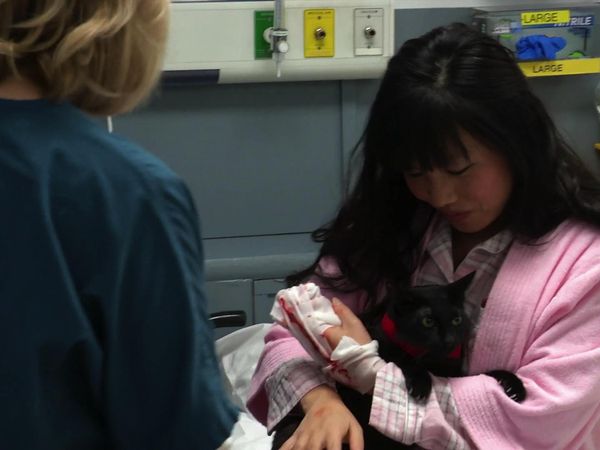 Untold Stories of the ER - Raining Cats & Dogs