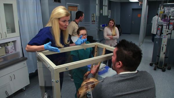 Untold Stories of the ER - Bit by a Boa