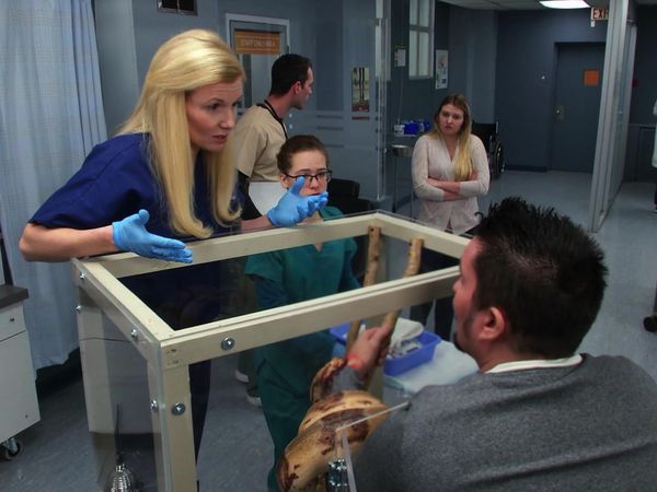 Untold Stories of the ER - Bit by a Boa