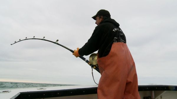 Wicked Tuna - Cupidité, ego et jalousie