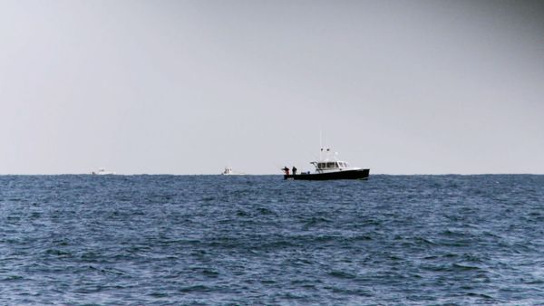 Wicked Tuna - Erreur de casting