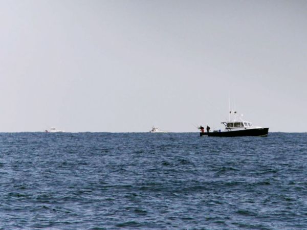 Wicked Tuna - Erreur de casting