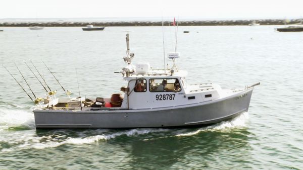 Wicked Tuna - Jusqu'au bout du bout