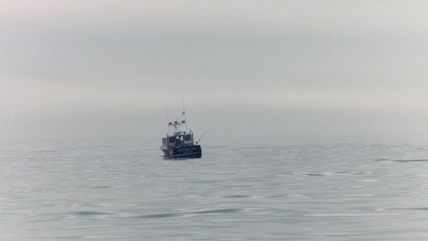 Wicked Tuna - Opération T.U.N.A