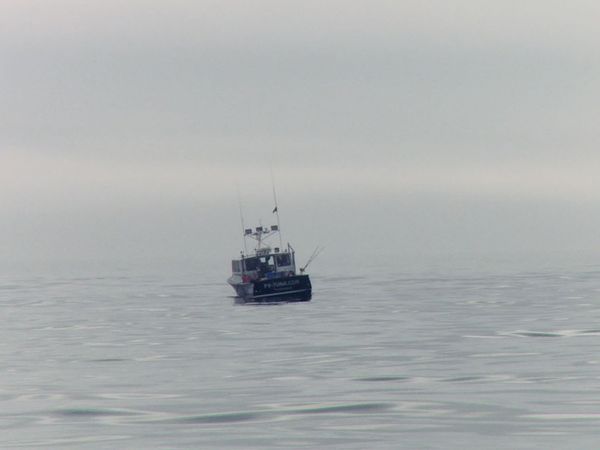 Wicked Tuna - Opération T.U.N.A