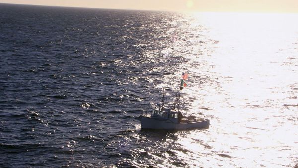 Wicked Tuna - Mission : pêche !