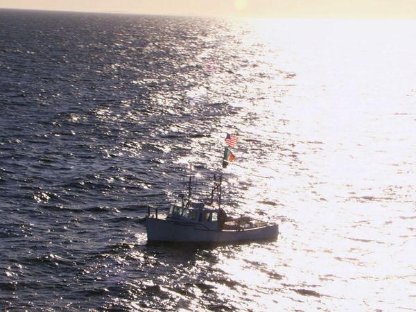 Wicked Tuna - Mission : pêche !