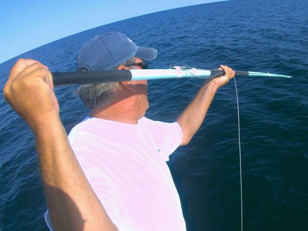 Wicked Tuna - Combat royal
