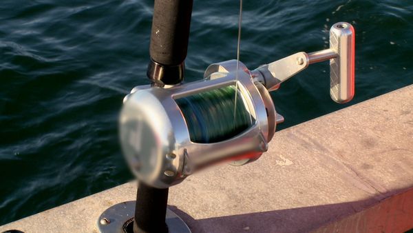 Wicked Tuna - Innovations fructueuses