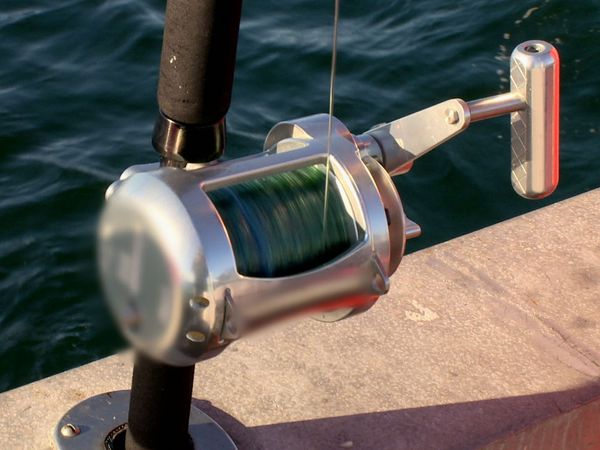 Wicked Tuna - Innovations fructueuses