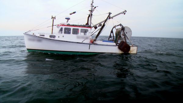 Wicked Tuna - Puissante morsure