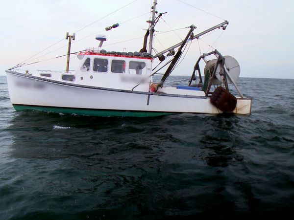 Wicked Tuna - Puissante morsure