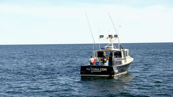 Wicked Tuna - Un tour d'horizon (spécial)