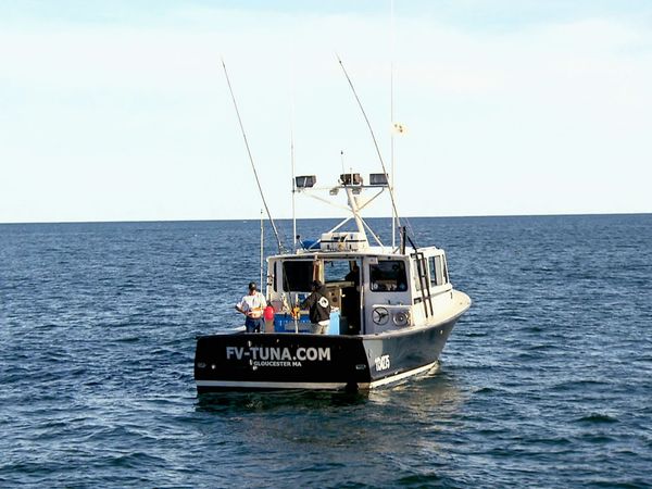 Wicked Tuna - Un tour d'horizon (spécial)