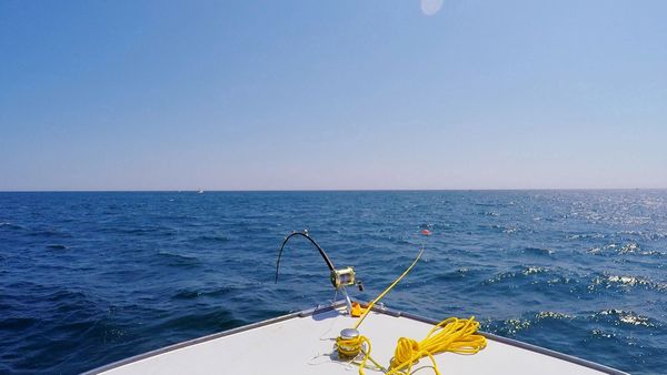 Wicked Tuna - De la dernière à la première place