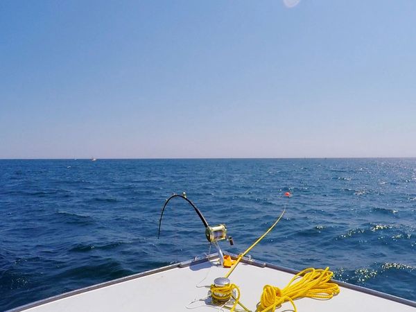 Wicked Tuna - De la dernière à la première place