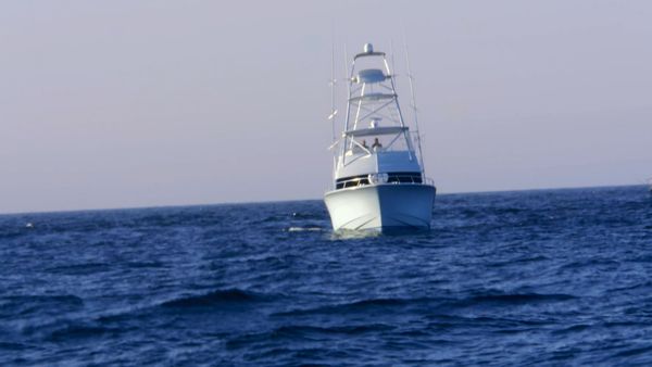 Wicked Tuna - À chacun son métier