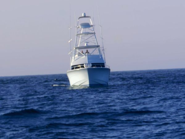 Wicked Tuna - À chacun son métier