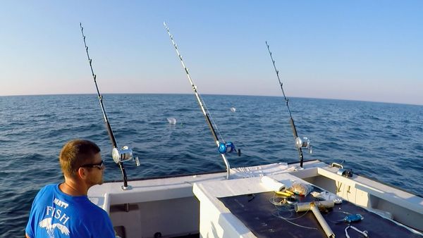 Wicked Tuna - La flotte contre-attaque